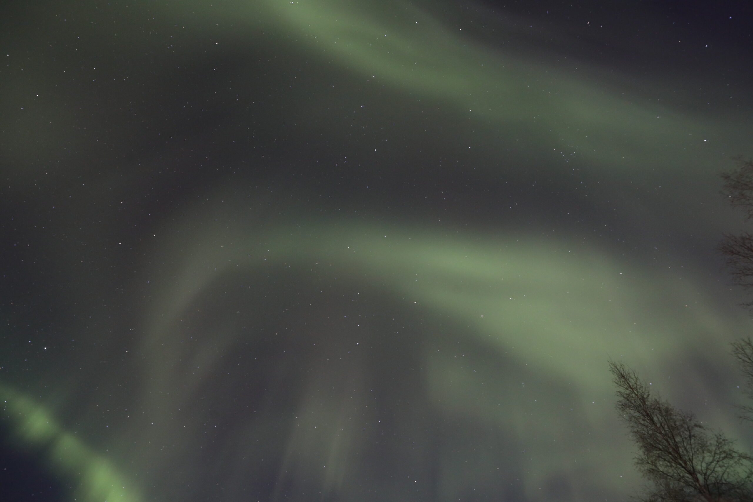 オーロラ鑑賞 – イエローナイフ-2025年03月