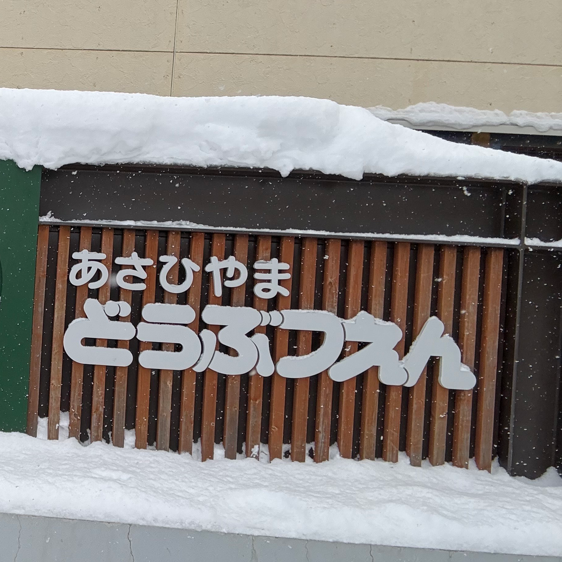 旭山動物園　ぺんぎんの散歩